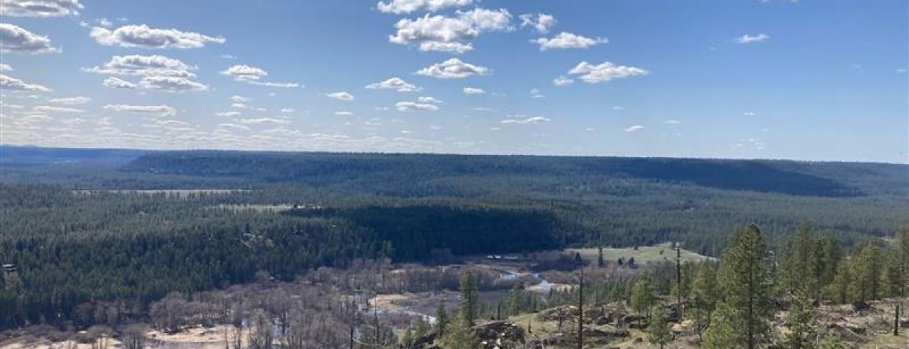 A sweeping view from Knothead Loop trail at Riverside State Park. A vivid blue sky with fluffy clouds tops an expansive view of a dense valley full of pines. A sparser landscape of a meandering, rocky creek bed with a few evergreens and dead trees are in the foreground. 