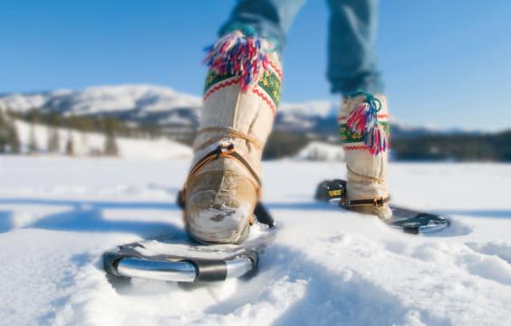 Colorful boot in snowshoe