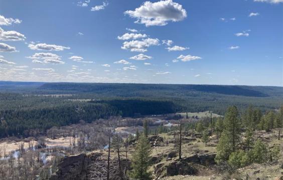 A sweeping view from Knothead Loop trail at Riverside State Park. A vivid blue sky with fluffy clouds tops an expansive view of a dense valley full of pines. A sparser landscape of a meandering, rocky creek bed with a few evergreens and dead trees are in the foreground. 